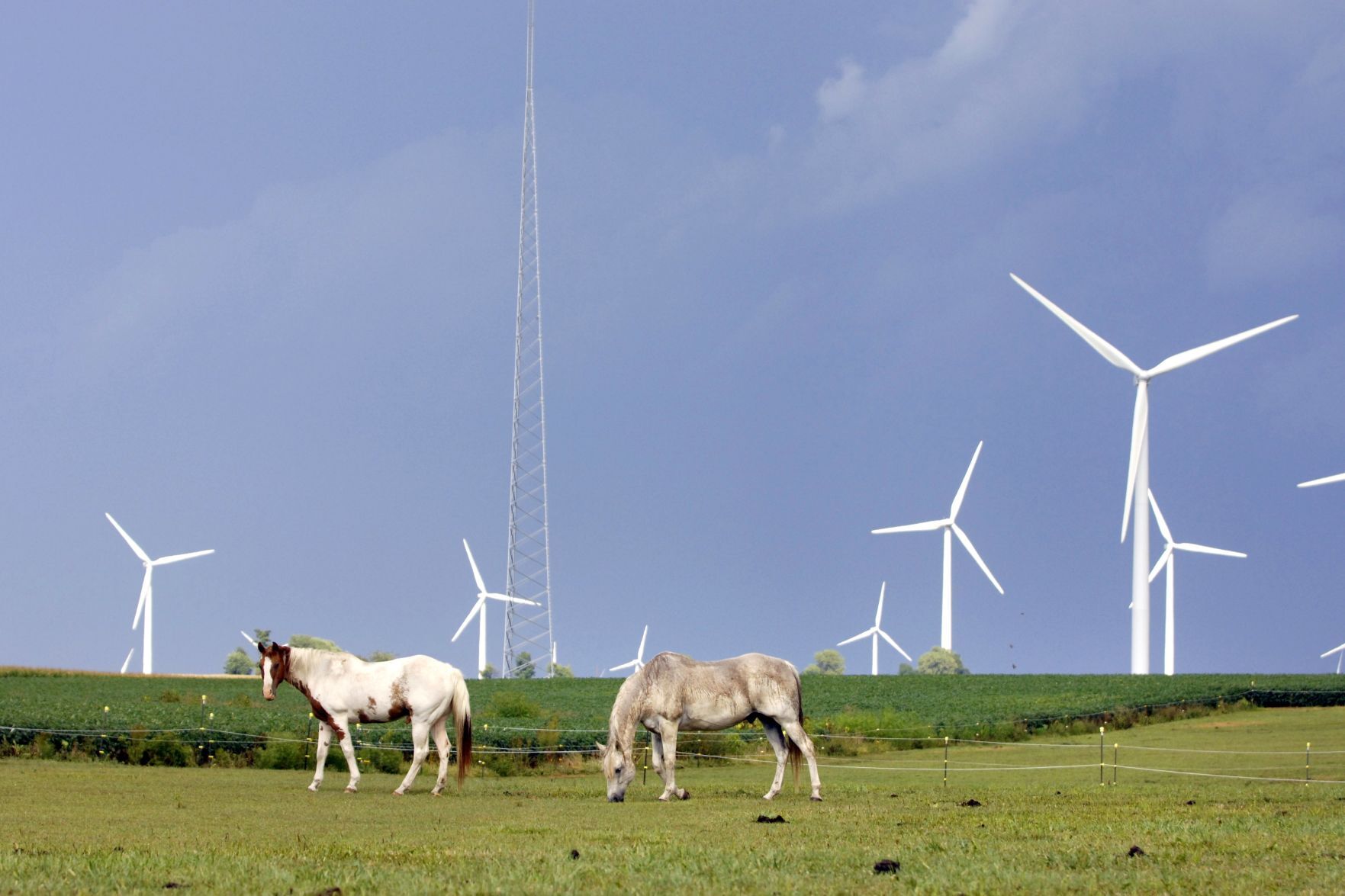 121519-blm-loc-11windfarm